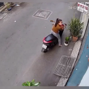 Camera an ninh ghi lại Cô gái ngã sấp mặt vì trộm chậu cây - 1 Cô gái ngã sấp mặt vì trộm chậu cây