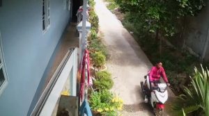 Siêu trộm liên tỉnh 20 tuổi sa lưới nhờ camera an ninh của người dân - 2 Siêu trộm liên tỉnh 20 tuổi sa lưới nhờ camera an ninh của người dân - Camera GiaMinh